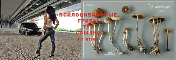 COCAINE Дмитриев