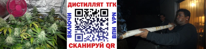 Купить  Сунжа  ТГК концентрат 