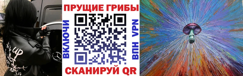 Псилоцибиновые грибы мицелий  Купить где  Сунжа 